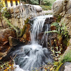 by Ana Cárdenas O - Nature Up Close Water