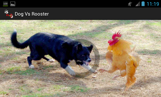 How to download Dog Vs Rooster 1.0 unlimited apk for android