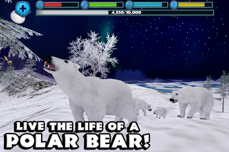 Polar Bear Simulator(圖1)-速報App