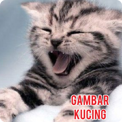 Gambar Anak Kucing Gratis LOGO-APP點子