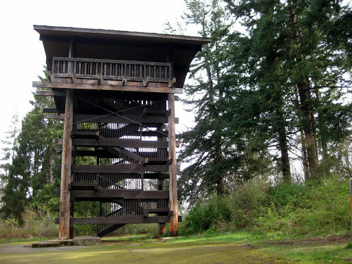 Sehome Hill Arboretum Observation Tower