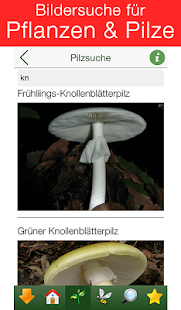 Vergiftung - Erste Hilfe für Kinder(圖3)-速報App