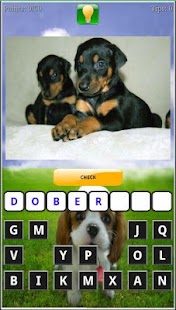 Lastest Puppy Dog Breeds Quiz APK