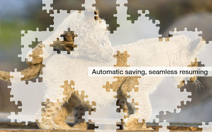 Big Cat Jigsaw Puzzles Demo poster 8