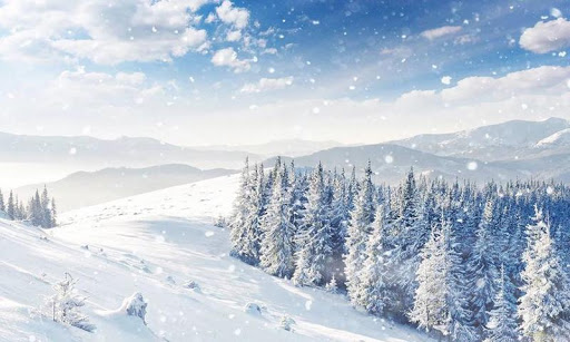 Winter Snow Live Wallpaper