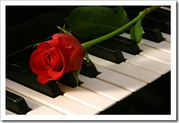 Love of Music - red rose