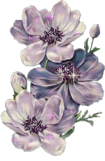flor2.png