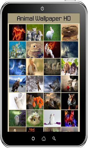 免費下載個人化APP|Animal Wallpaper HD app開箱文|APP開箱王