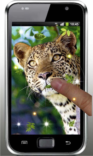 Jaguar Cool live wallpaper