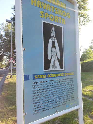 CSG - Sanja Ožegović Gobac