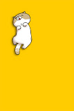 Rolling cat LiveWallpaper01