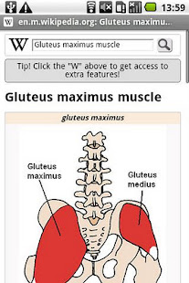 Human Anatomy(圖5)-速報App