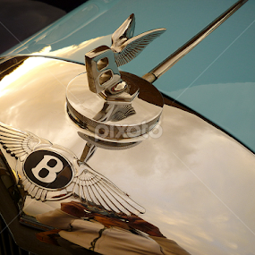 by Di Elderton - Transportation Automobiles