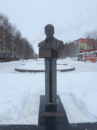 Памятник мэру Петухову В.А.
