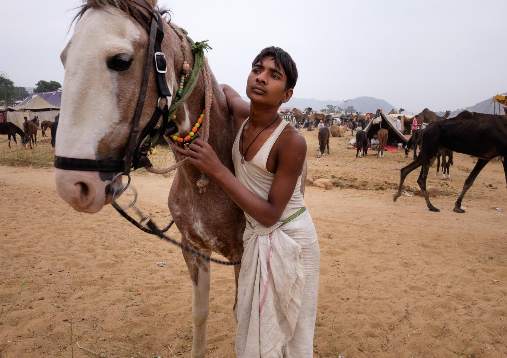 Horse Handler, Pushkar, India