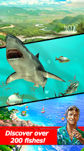 ace fishing wild catch mod apk Free download of your android mobile and tab 