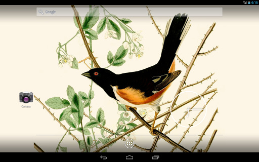 免費下載攝影APP|Audubon's Birds of America V02 app開箱文|APP開箱王