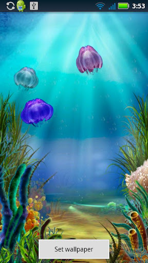 Jellyfish Live Wallpaper