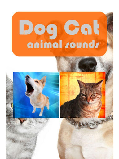 Dog Cat Animal Sounds