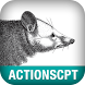 Actionscript 3.0 Cookbook