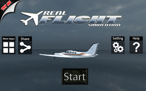 Airplane Flight Simulation