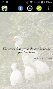 Lastest Deep Life Quotes APK