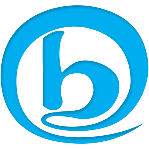 BNE - Bank National Jobs logo