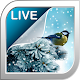 Snow Live Wallpaper APK