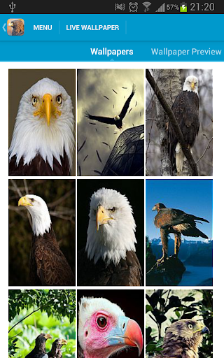 【免費個人化App】Eagles Wallpapers-APP點子