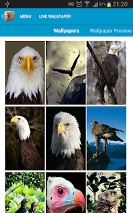 Eagles Wallpapers(圖2)-速報App