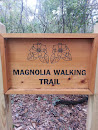 Magnolia Walking Trail