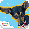 Zula the Dog - Virtual Pet