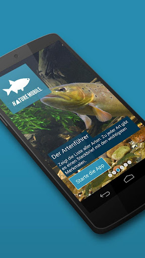 Fish 2 LITE - Field Guide