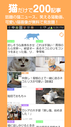 もっとねこ 猫好きのための猫まとめ Androidアプリ Applion