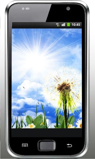 Dandelions HD live wallpaper