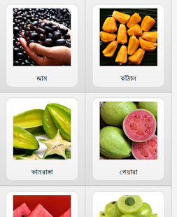 download Fruits Benefit in Bangla free