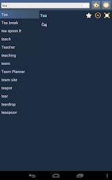 English Bosnian dictionary poster 9