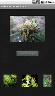 How to mod Mobile Grow Wallpapers patch 1.1 apk for bluestacks