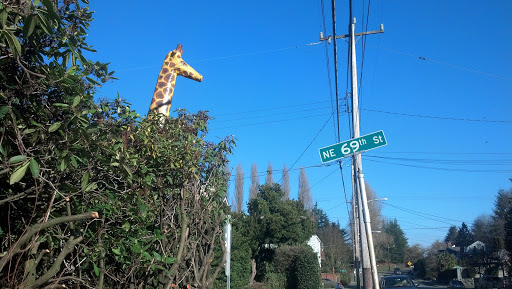 Judgmental Giraffe