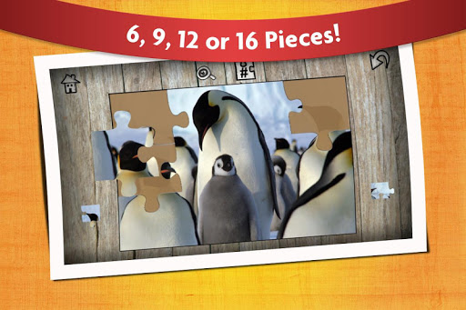 【免費教育App】Cute Animals Jigsaw Puzzles-APP點子