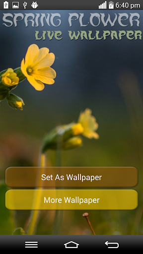 Spring Flower Live Wallpaper