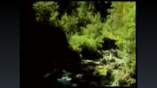 Balonku Ada Lima APK for Bluestacks  Download Android APK 