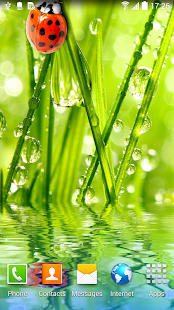 Macro Photos Live Wallpaper(圖2)-速報App