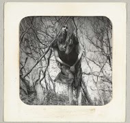 Enigszins voorover gebogen staande vrouw, tussen bomen