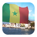 3d Senegal Flag with Anthem logo