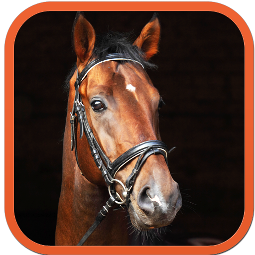 Horse Sounds LOGO-APP點子