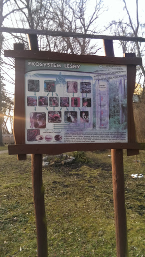Ekosystem Lesny