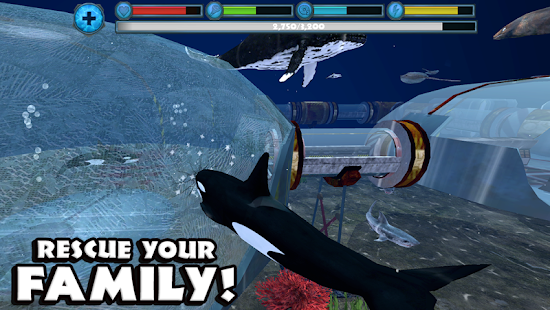 Orca Simulator(圖4)-速報App