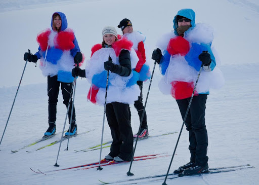 Ski Lessons