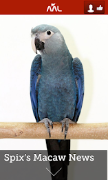 Aviary Life poster 4